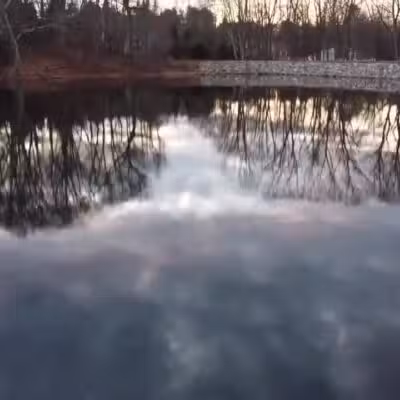 The Old Reservoir - Lexington, MA