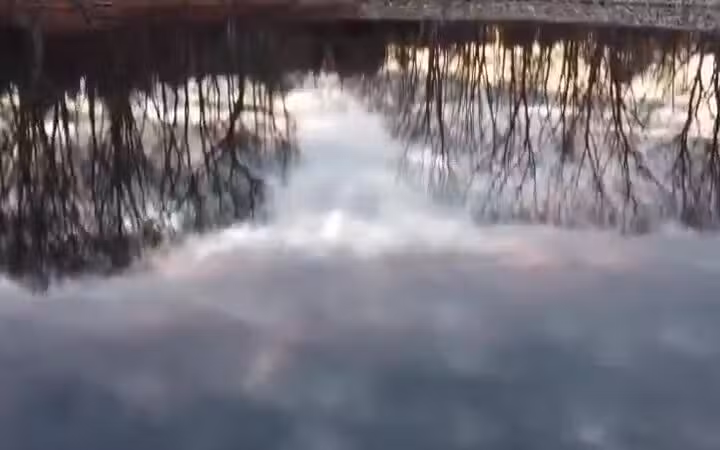 The Old Reservoir - Lexington, MA