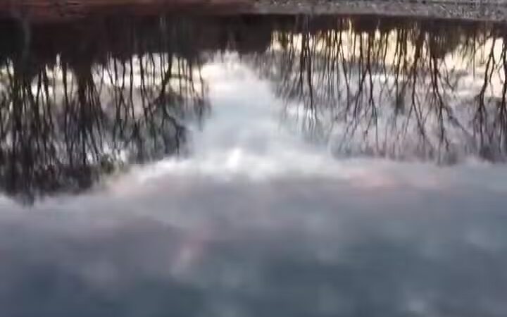 The Old Reservoir - Lexington, MA