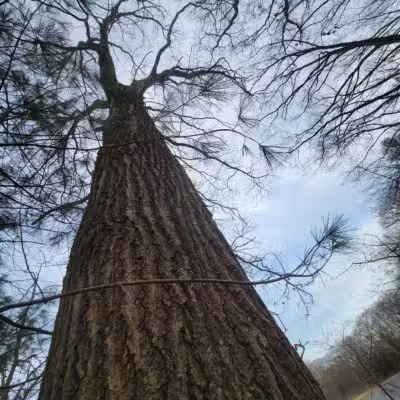 The Old Reservoir - Lexington, MA