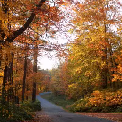 Tower Park - Lexington, MA