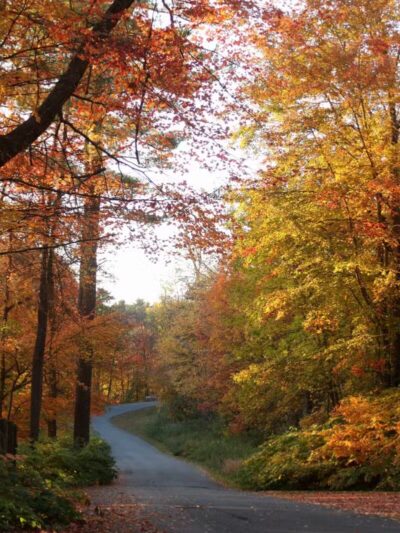 Tower Park - Lexington, MA