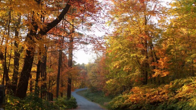 Tower Park - Lexington, MA