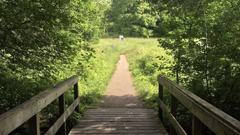 Willard's Woods - Lexington, MA