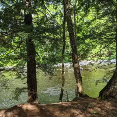 Fay Wayside Picnic Area - Lincoln, NH