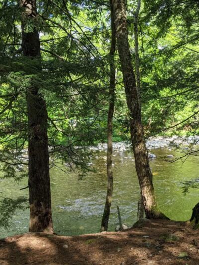 Fay Wayside Picnic Area - Lincoln, NH