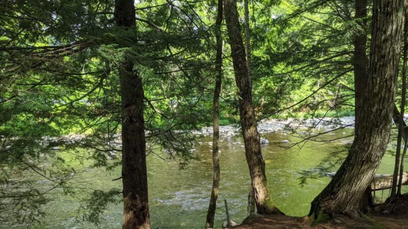 Fay Wayside Picnic Area - Lincoln, NH
