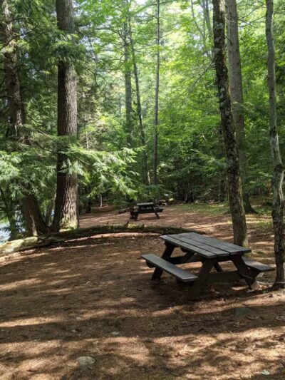 Fay Wayside Picnic Area - Lincoln, NH