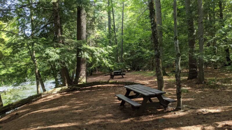 Fay Wayside Picnic Area - Lincoln, NH