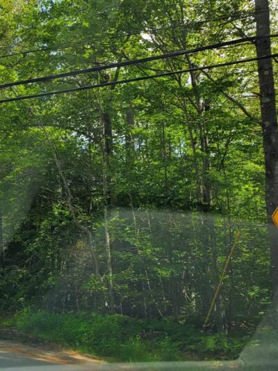 Fay Wayside Picnic Area - Lincoln, NH