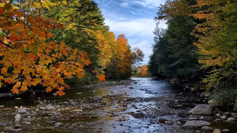 Fay Wayside Picnic Area - Lincoln, NH