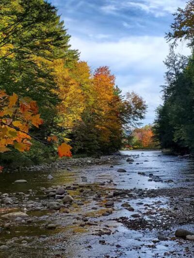 Fay Wayside Picnic Area - Lincoln, NH