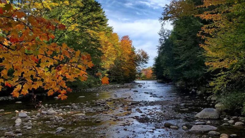Fay Wayside Picnic Area - Lincoln, NH