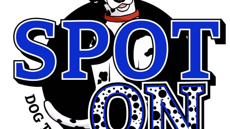 Spot On Dog Training Center - Lincolnville, ME