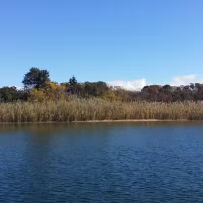 Fox Island - Lindenhurst, NY