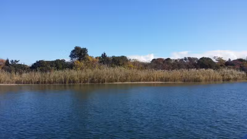 Fox Island - Lindenhurst, NY