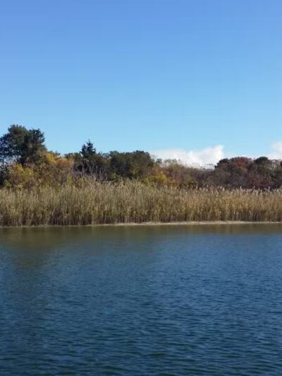 Fox Island - Lindenhurst, NY