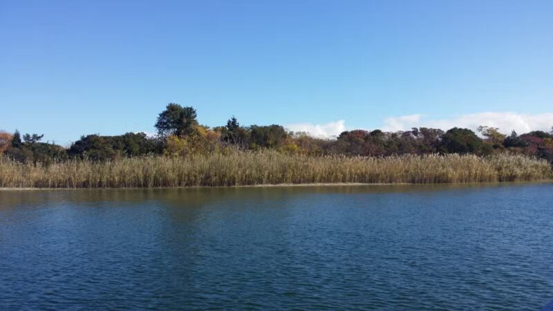 Fox Island - Lindenhurst, NY