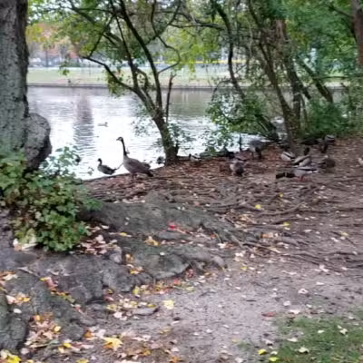 Lindenhurst Village Park - Lindenhurst, NY