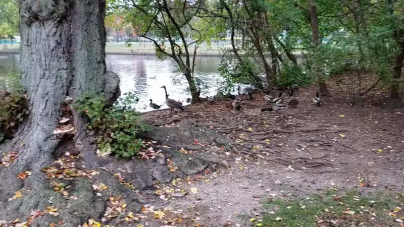 Lindenhurst Village Park - Lindenhurst, NY