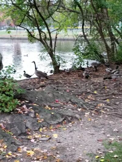 Lindenhurst Village Park - Lindenhurst, NY