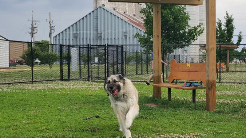 Scentral Bark - Lindsborg, KS