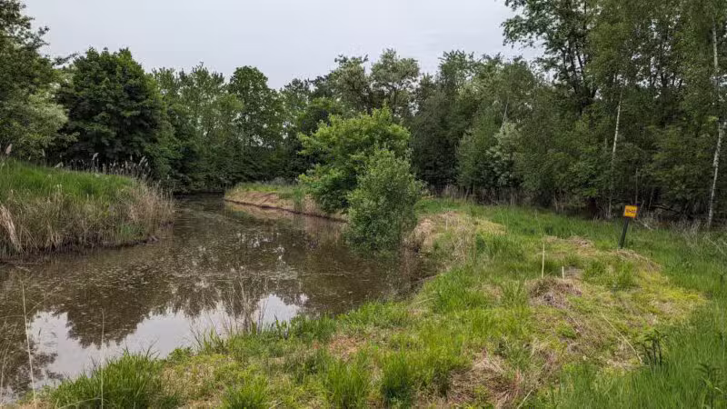 Losen Slote Creek Park - Little Ferry, NJ