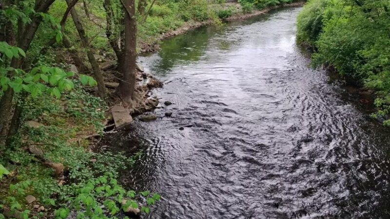 First Street Memorial Park - Lodi, NJ