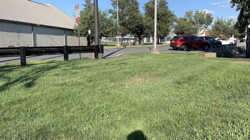 Lodi Park - Lodi, NJ