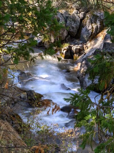 Sugar Pine Railway Trailhead - Long Barn, CA