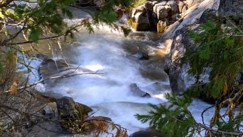 Sugar Pine Railway Trailhead - Long Barn, CA