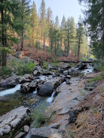Sugar Pine Railway Trailhead - Long Barn, CA