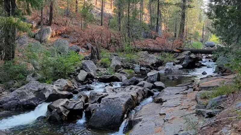 Sugar Pine Railway Trailhead - Long Barn, CA
