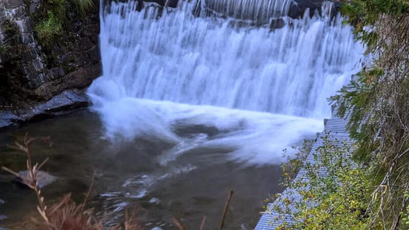Sugar Pine Railway Trailhead - Long Barn, CA