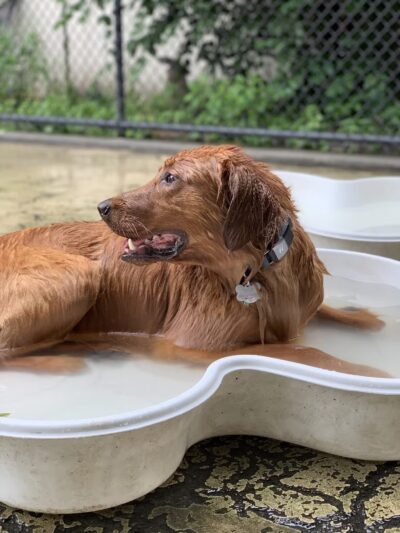 Torsney/Lou Lodati Playground - Long Island City, NY