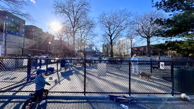 Torsney/Lou Lodati Playground - Long Island City, NY