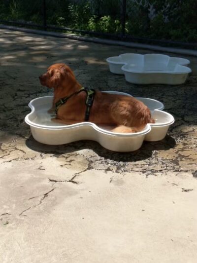 Torsney/Lou Lodati Playground - Long Island City, NY