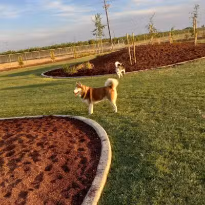 AG Sports Complex and Dog Park - Los Banos, CA