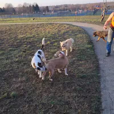 Vettiner Dog Park (Members Only) - Louisville, KY