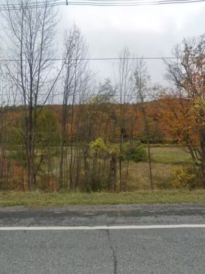 Ludlow Dog park at Fletcher Fields - Ludlow, VT