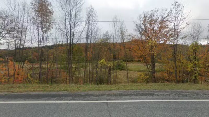 Ludlow Dog park at Fletcher Fields - Ludlow, VT