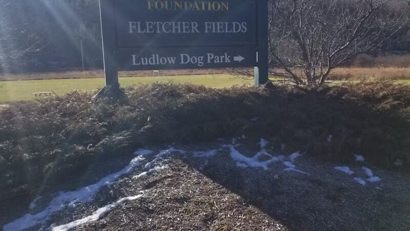 Ludlow Dog park at Fletcher Fields - Ludlow, VT