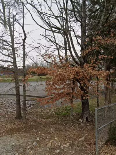 Luttrell Public Park - Luttrell, TN