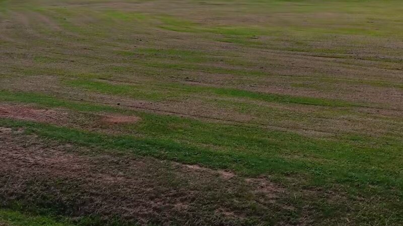 Luverne Parks & Recreation - Luverne, AL