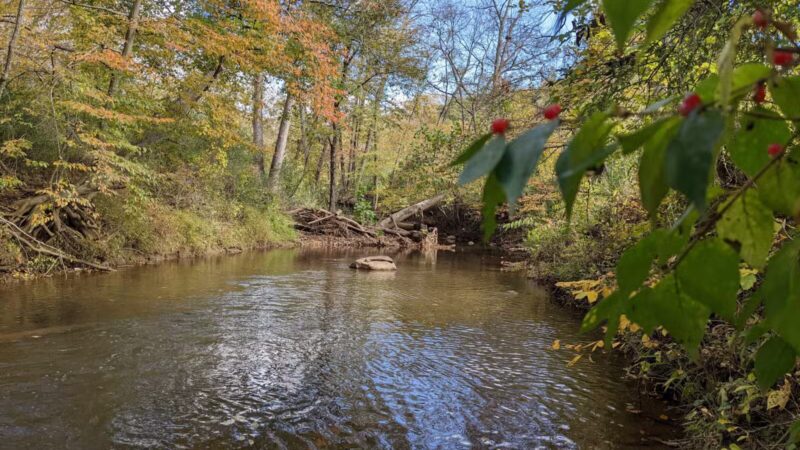 Blackwater Creek Athletic Area - Lynchburg, VA
