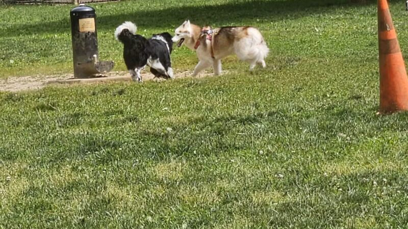 Blackwater Creek Athletic Area - Lynchburg, VA