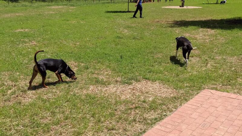 Blackwater Creek Athletic Area - Lynchburg, VA