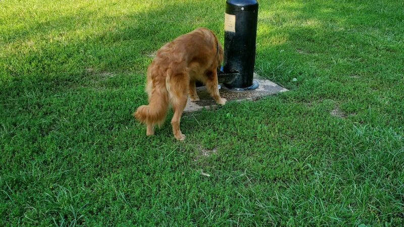 Blackwater Creek Athletic Area - Lynchburg, VA