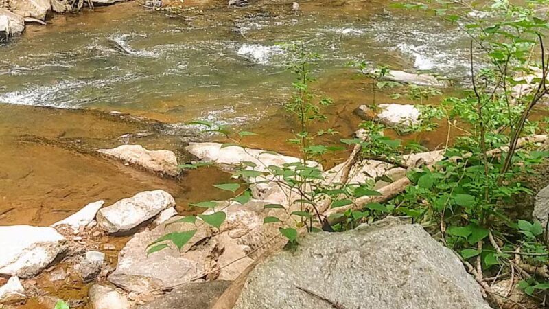 Blackwater Creek Athletic Area - Lynchburg, VA