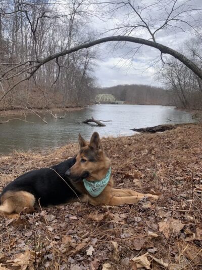 Parking - Manchester, MD